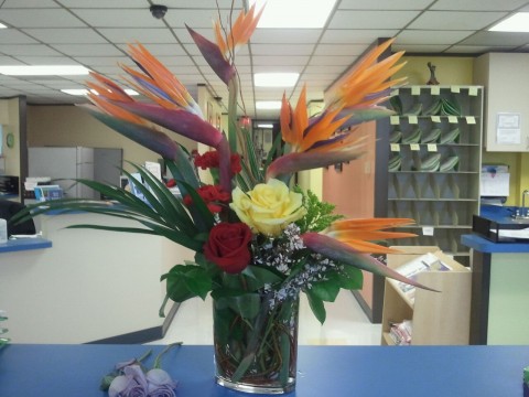 Flores para Chando