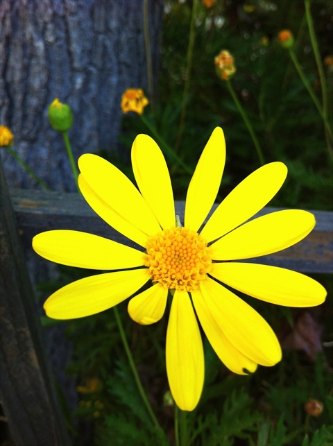 20110520-104903.jpg