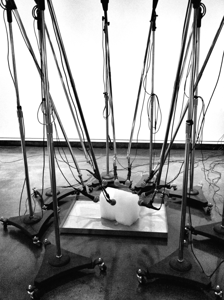 20120305-175111.jpg