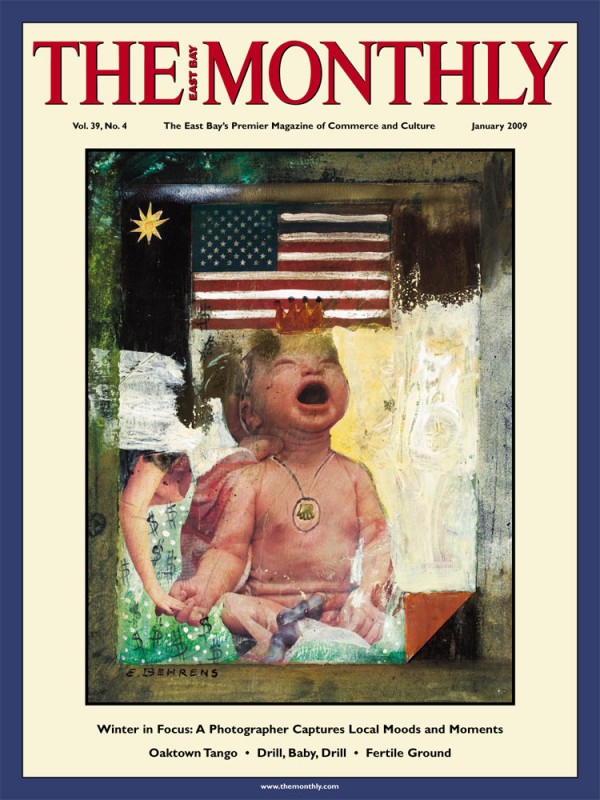 Monthly Cover Jan 2009 - Art by Elke Behrens