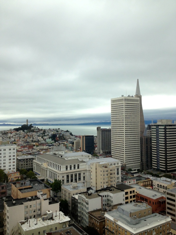 View of the skyline of downtown San Francisco