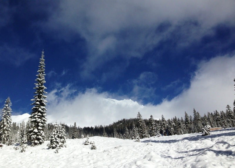 Shasta during the snowy season