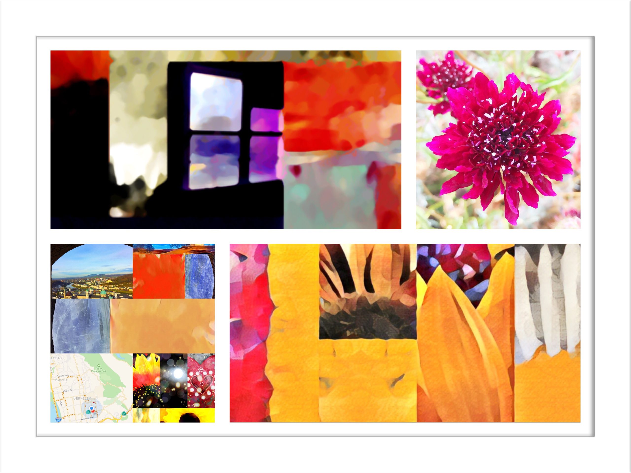 A collage of flowers and shapes of different colors