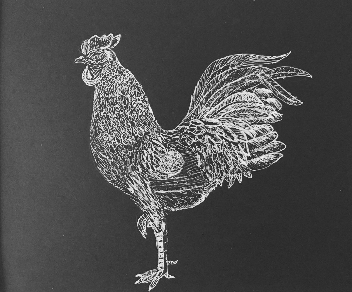 Un dibujo de Valentina