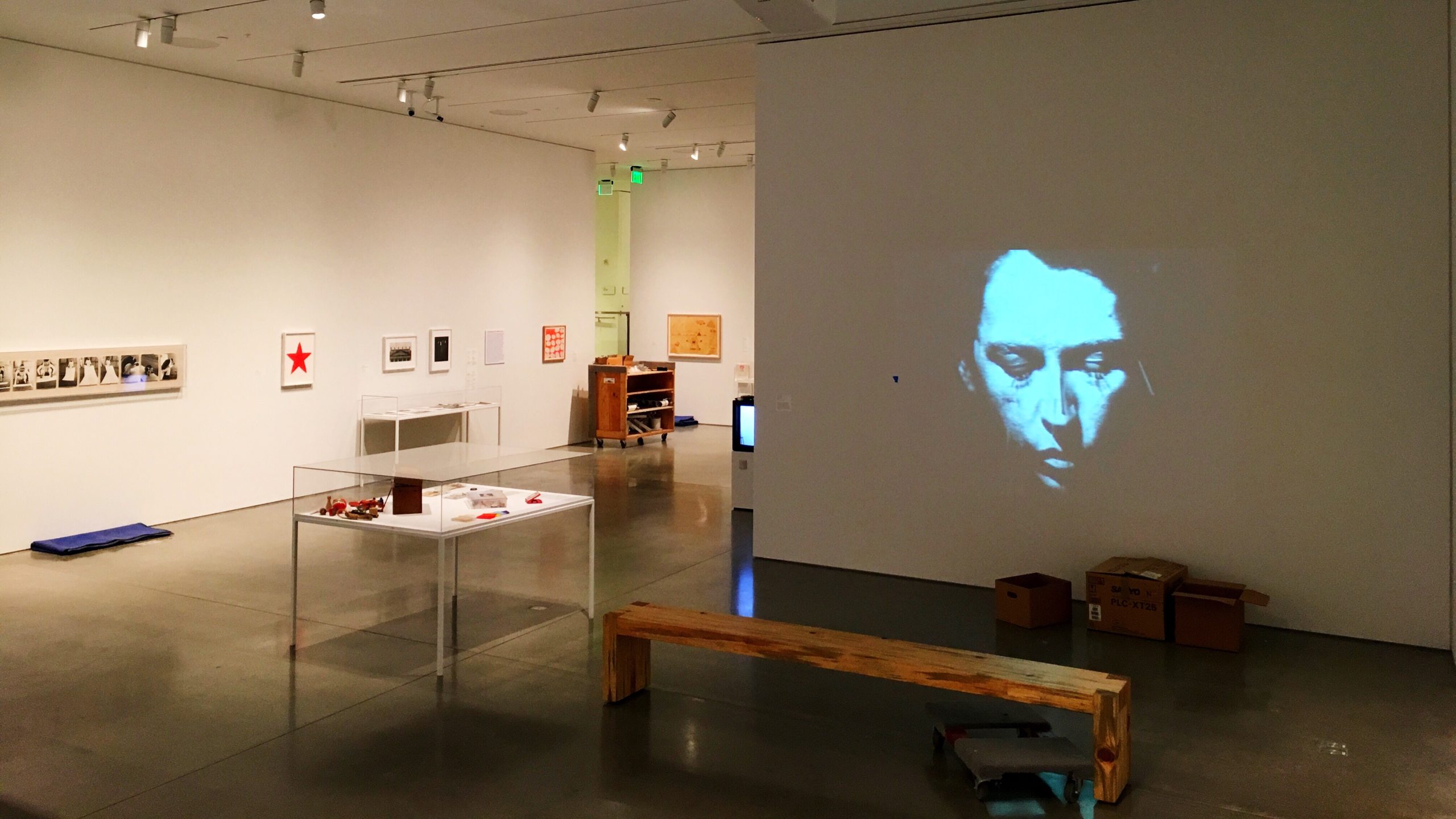 From the Mind over Matter exhibit at BAMPFA