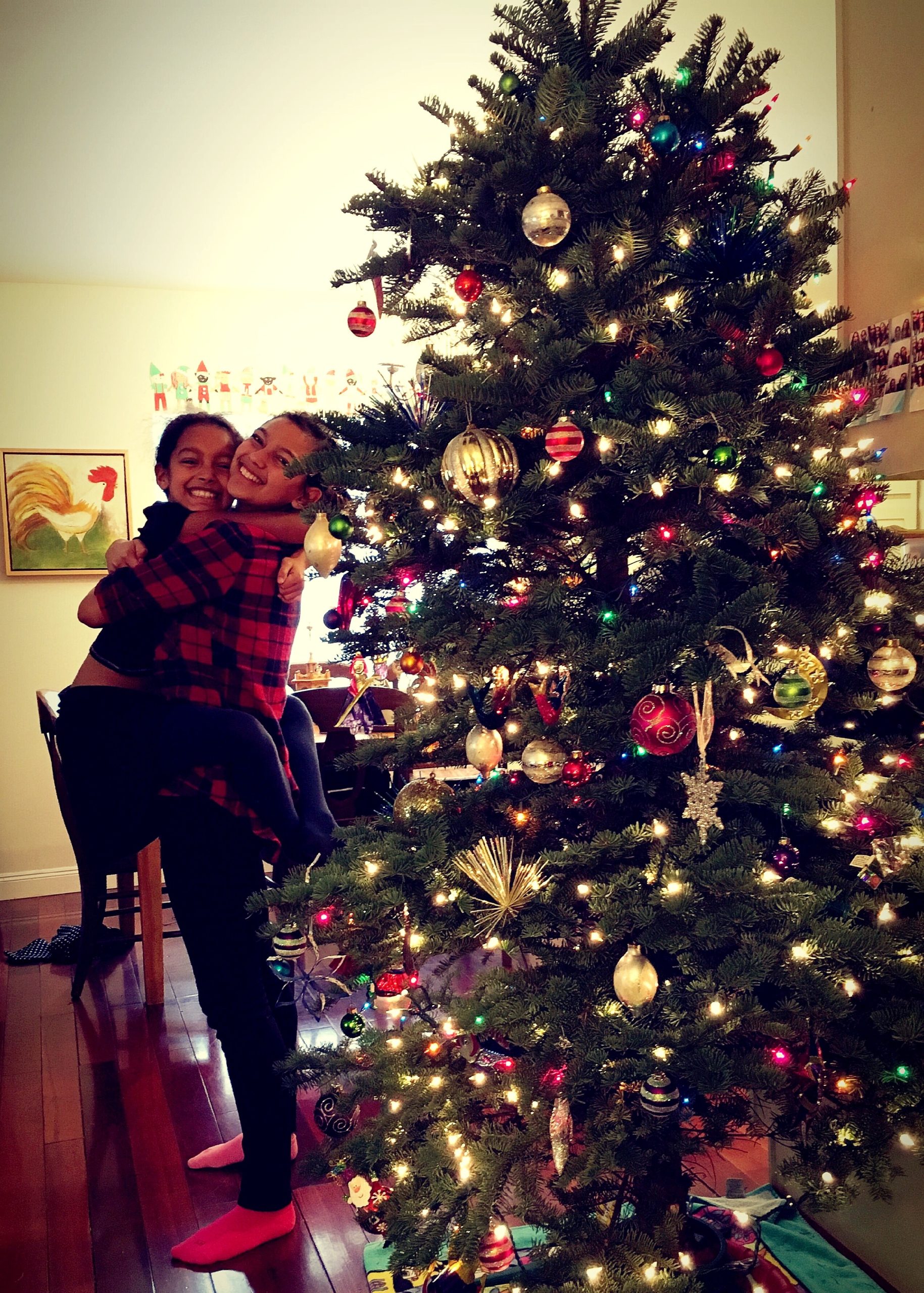 Our 2016 Christmas tree decorated with ornaments and lights