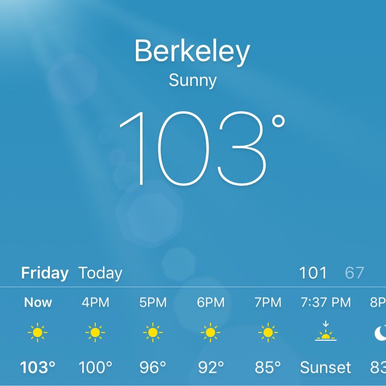 Berkeley weather of 103