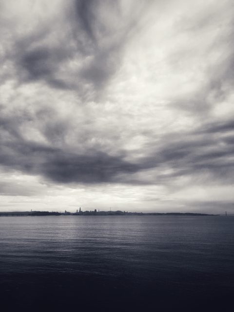 View of the water and SF from the Berkeley Marina