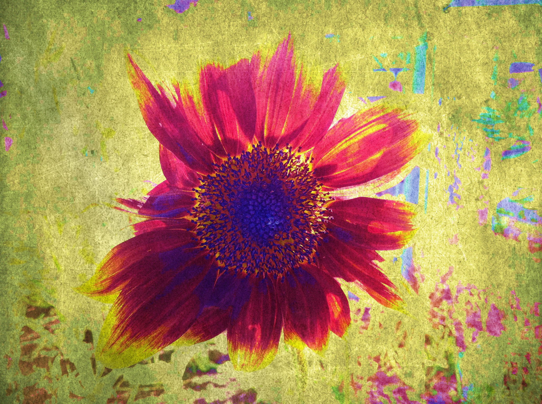 Un girasol con efectos especiales creando arte digital