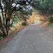 Tilden Park