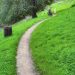A trail in Tilden during the month of february