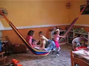 El tren hamaca
